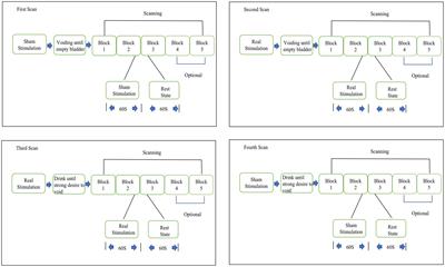 Real-time changes in brain activity during tibial nerve stimulation for overactive bladder: Evidence from functional near-infrared spectroscopy hype scanning